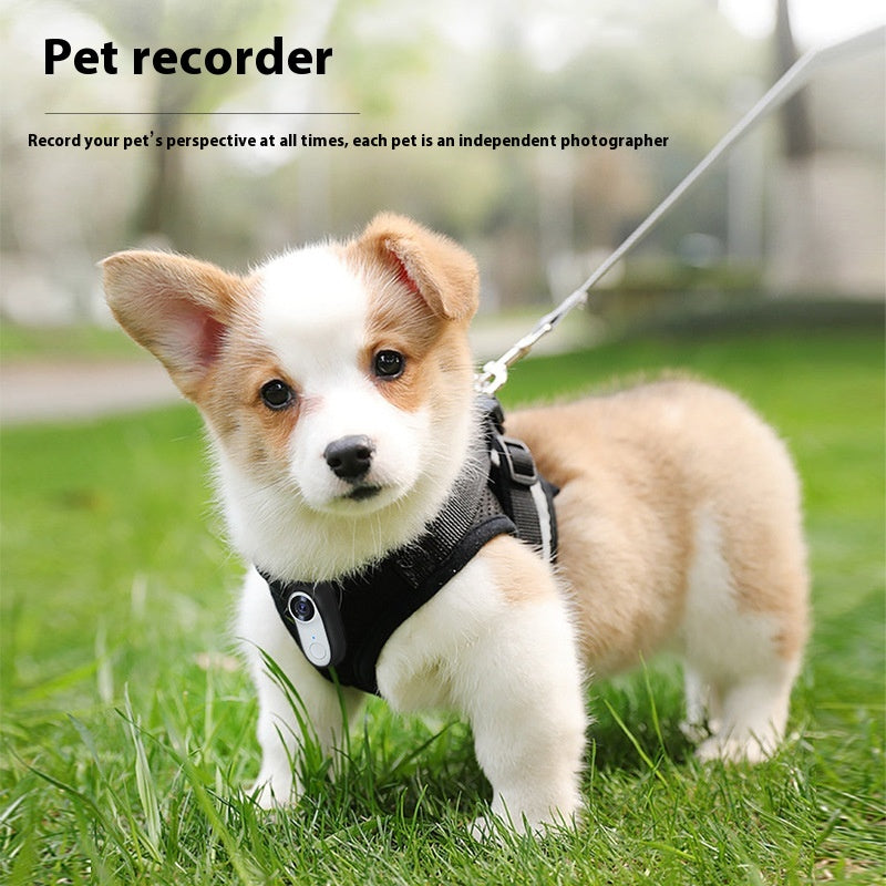 HD Pet Action Camera - Hands - Free Pet POV Recorder