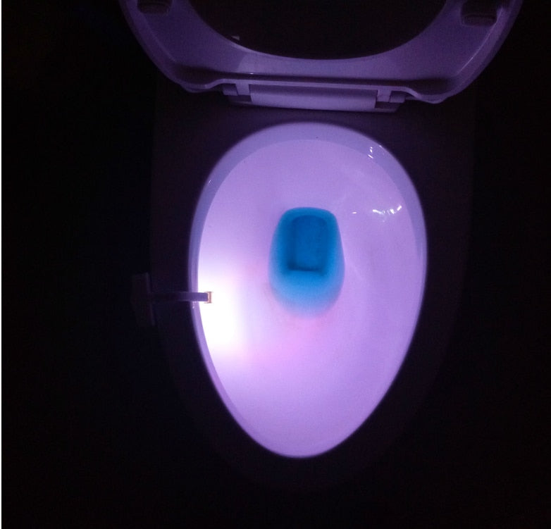 Motion Sensor LED Toilet Night Light - 16 Color Bathroom Glow